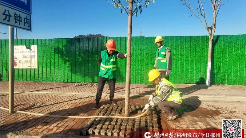 绿植租赁适合什么类型企业