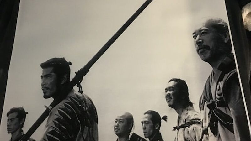立体绿化工程维护的五大关键点**