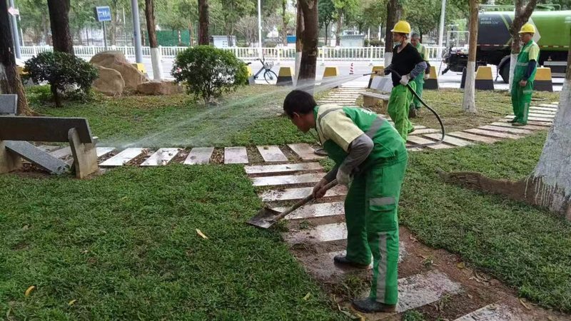市政绿化植被成活率提升之道：关键技术与实践解析**