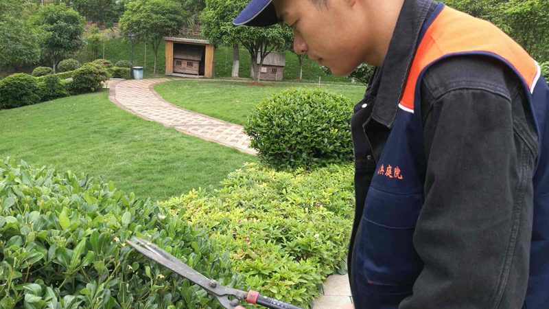 道路绿化养护公司排名：如何科学评估与选择