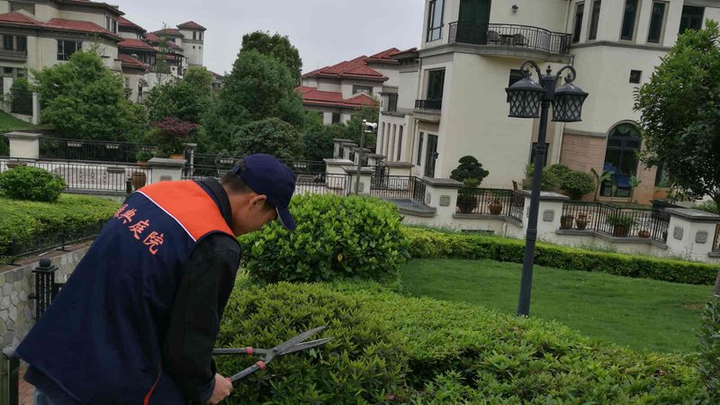 别墅花园照明，如何打造光影交织的浪漫空间？**