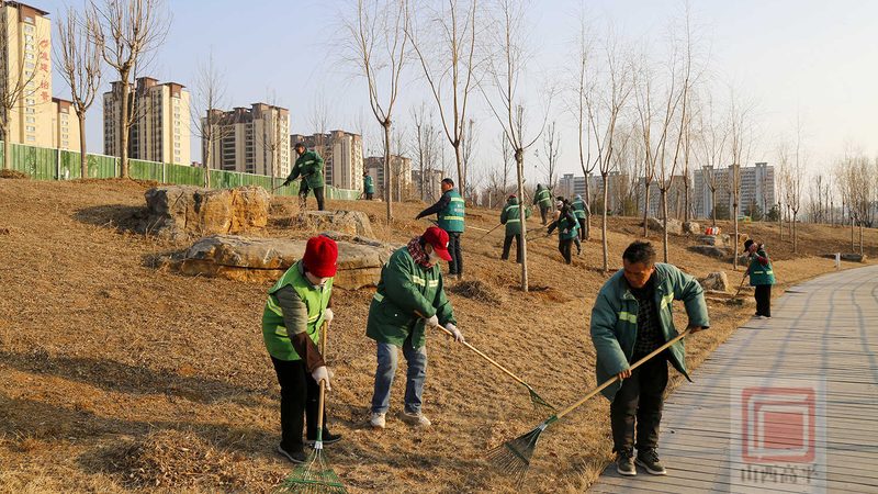 道路绿化苗木价格评估：关键因素与误区解析