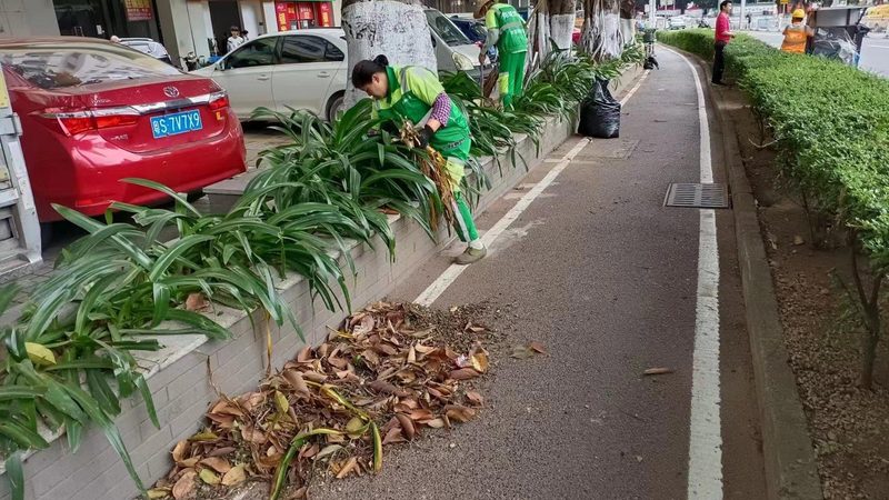 小区绿化养护，报价明细揭秘**