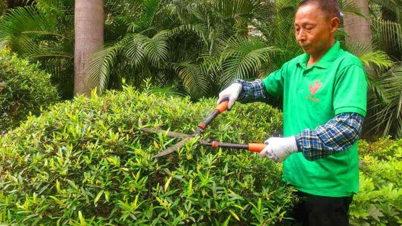 立体绿化灌溉系统：参数对比解析