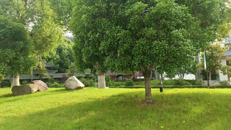 园林绿化养护管理技术方案：关键环节与要点解析**