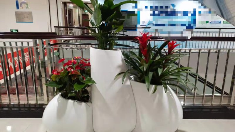 花卉租摆公司如何挑选，避免陷入误区**